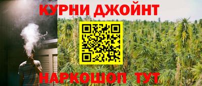 дмт Можга